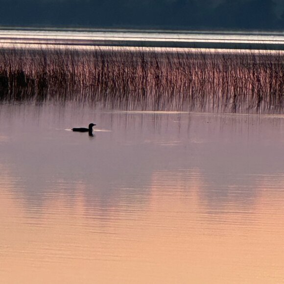 Sunrise on the lake - Picture 1 of 1